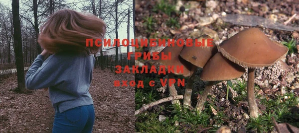 ECSTASY Бугульма