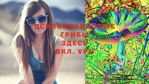 прущие крисы Богородицк