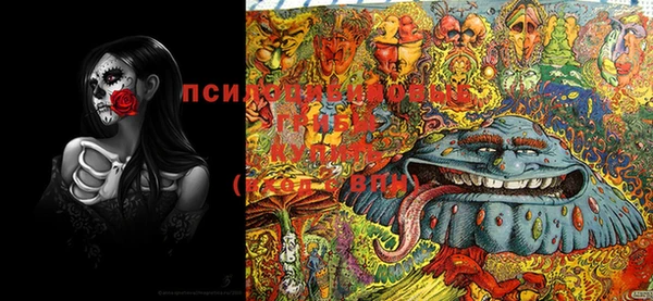 ECSTASY Бугульма