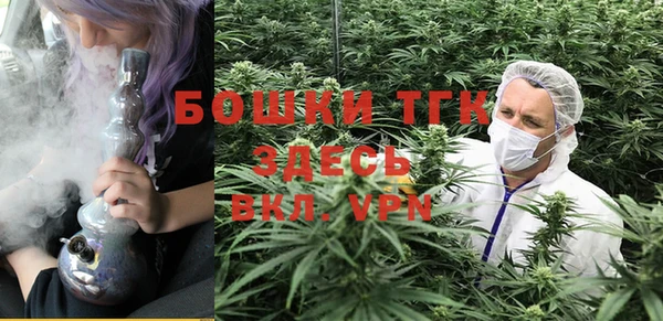 СК Бородино