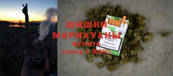 СК Бородино