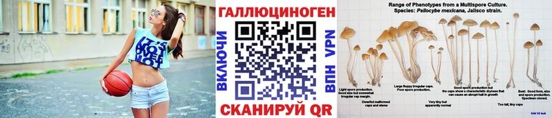 Псилоцибиновые грибы Cubensis  Можга 